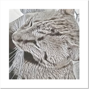 CAT PORTRAIT Posters and Art